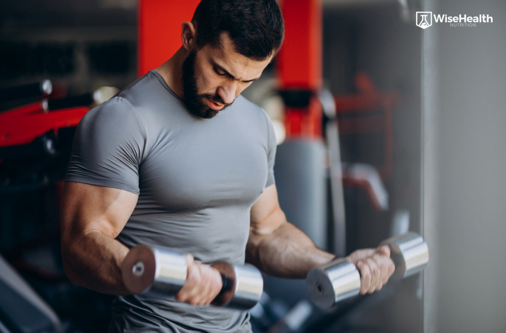  Poss vel Ganhar Massa Muscular E Perder Gordura Ao Mesmo Tempo