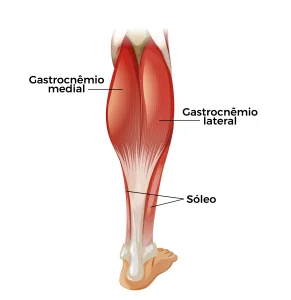Posição dos pés e hipertrofia da panturrilha - WiseHealth® Blog