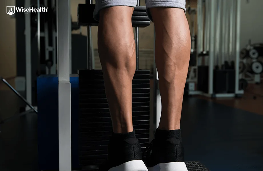 Treino Panturrilha WiseHealth